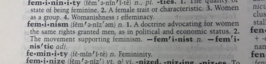 The+true+meaning+of+feminism+is+often+unclear+to+those+who+utilize+the+word.