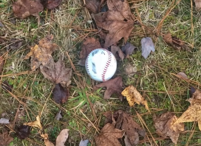 A standard, tacky baseball lies on the grass.