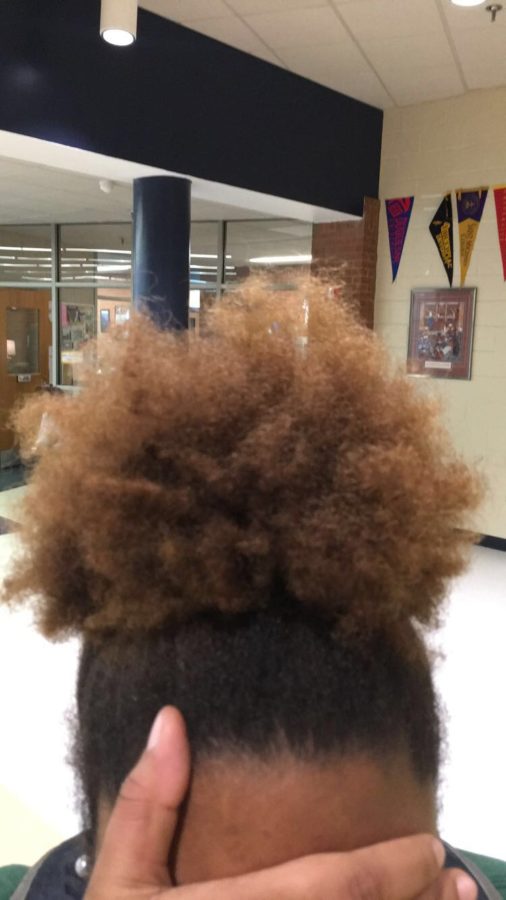 Her puff is a blond color while her hair is a dark brown color. She is a Lafayette student and a senior.