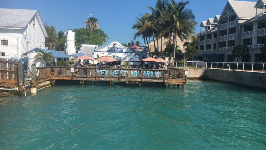 Visiting Key West means taking in all the beautiful sights, including their famous acquarium.