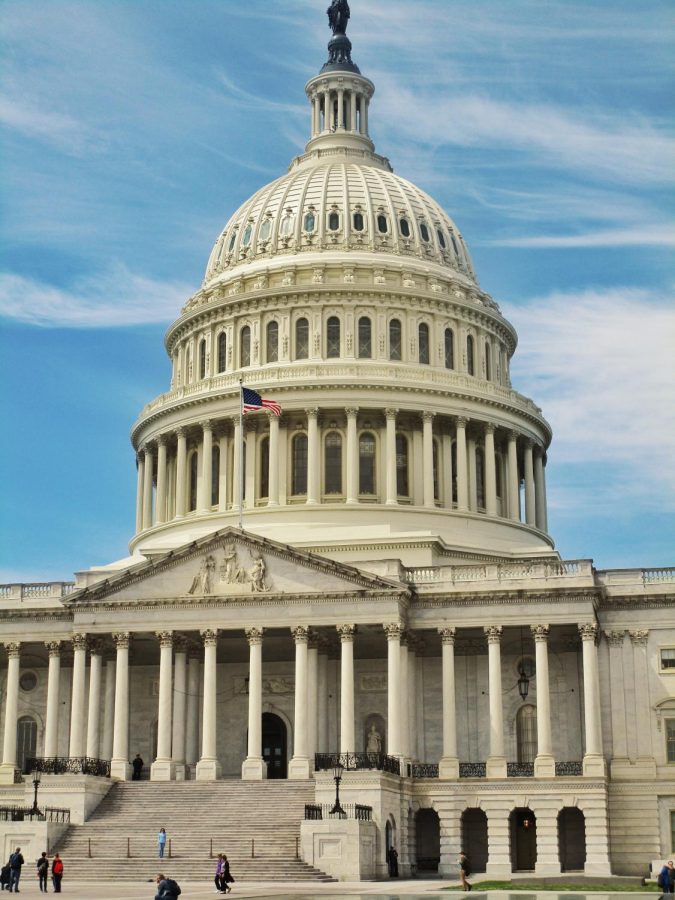 The Capitol building, which is located in Washington, D.C., is the most recognized symbol of democracy in the world. This houses the United States Congress, also where the January 6th Trump riot took place.