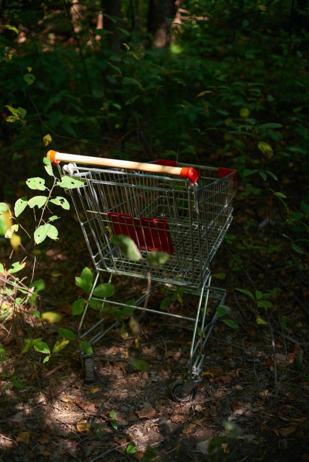 In the woods, in a shopping cart, this serial killer leaves his victims to be found by civilians.