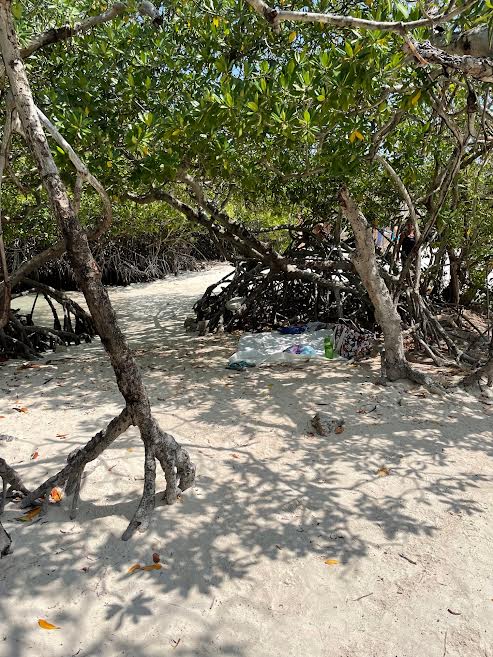 Mangrove swamps, submerged at high tide, provided an interesting backdrop for days at the beach.