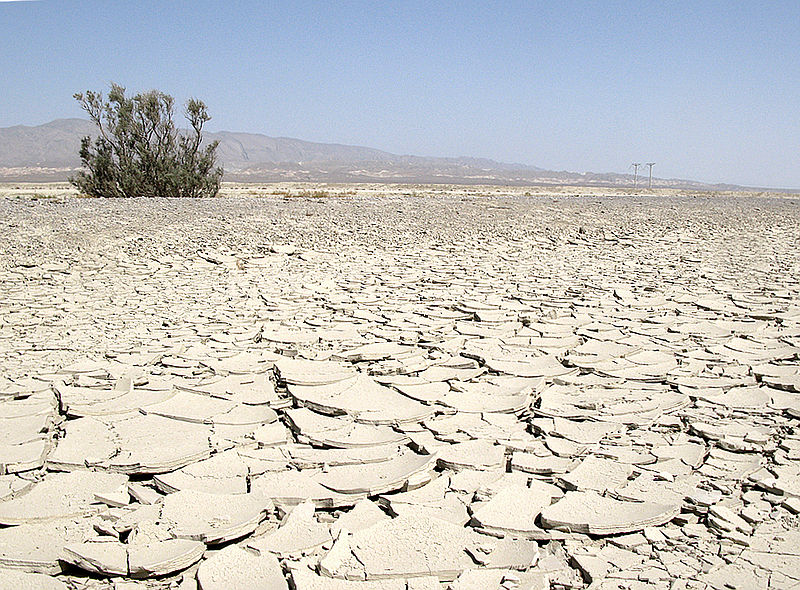 The cracked landscape of the Karakum Desert