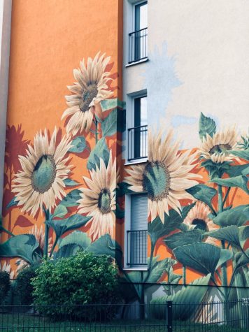 Murals Create Urban Magic