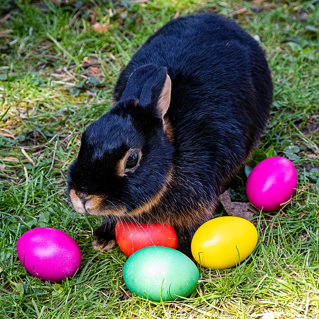 Easter is a holiday where some kids belief that the Easter Bunny will come and drop them off treats. They will also have easter eggs hunts.
