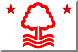 Pictured above is the Nottingham Forest badge. Forest was founded in 1865. Since then, they have bounced between the Premier League and the Championship. The club is rich in history.