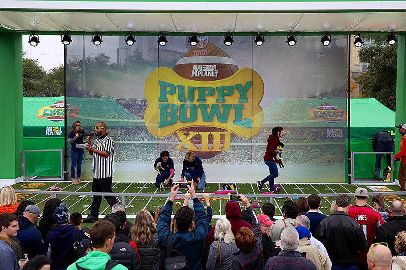 Puppy Bowl and Kitten Bowl