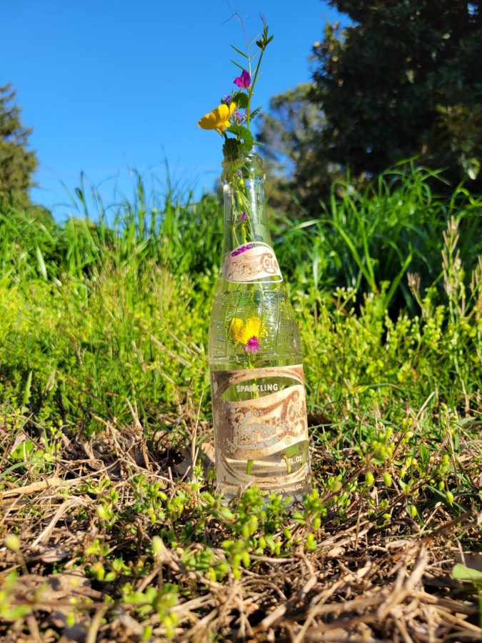 Antique bottle full of wildflowers, a visual representation of poetry.