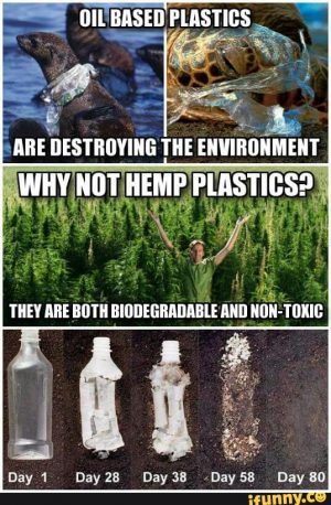 hemp plastics