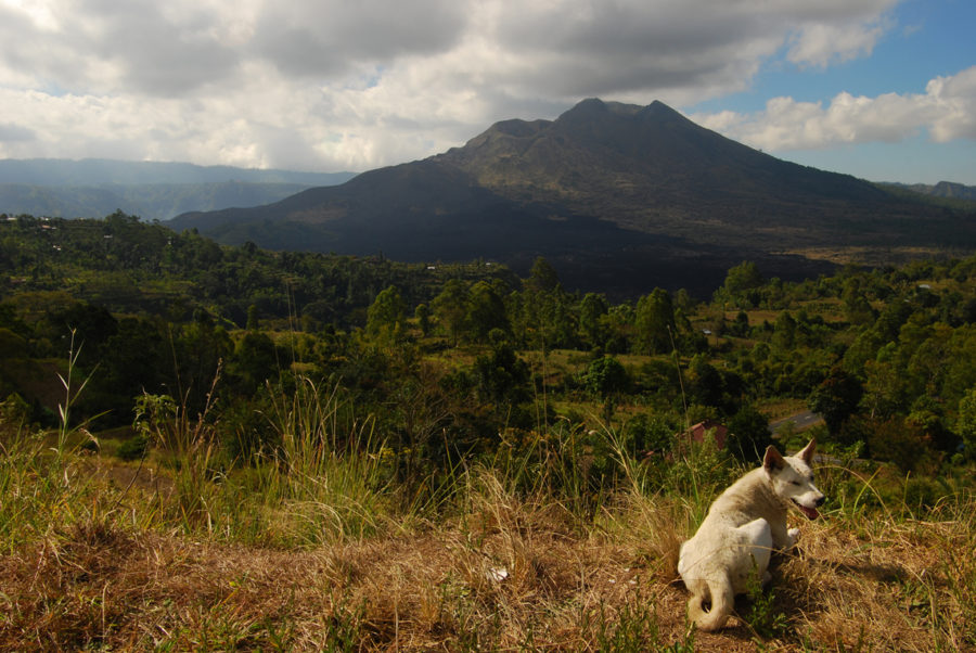 Mount Bali is a beautiful destination in the summer