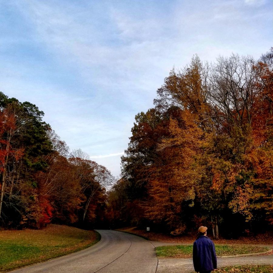 "Because of the contracting colors, the earth and sky seems to be divided. Its beauty is shown by the split of Earth and Sky"