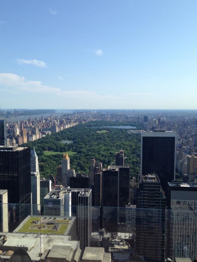 Open, fresh, and all beautiful Central Park sits at the middle of New York City. This giant rectangle serves as a nature filled area of an otherwise industrial city.