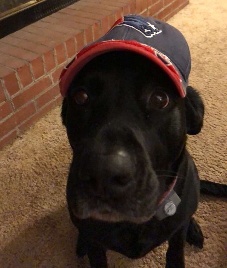 Aubrie Stevens and her dog wearing a hat of their favorite team, the New England Patriots