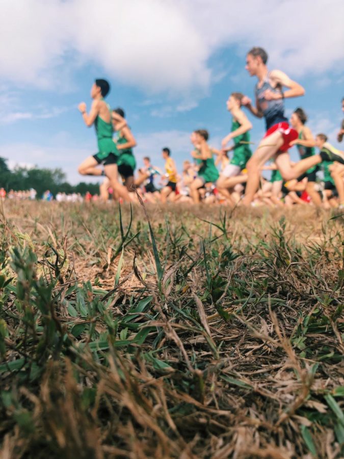 Moments after the gun went off to signal the start of the race, the runners start off strong, trying to pass as many people as they can. It is very important during the race to get to the front of the pack so you don't get left behind. Lafayette runners do this very well, and can be seen in a pack at the front of most of the races.