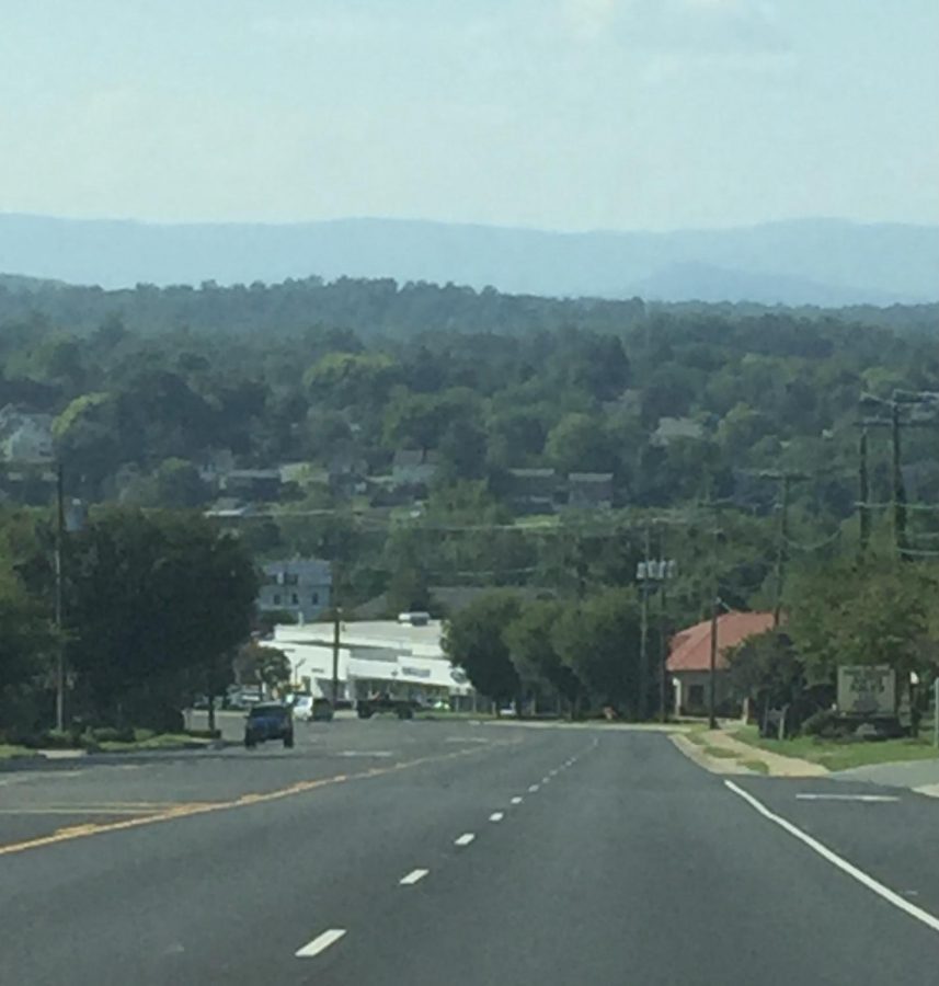 “Mountains are the beginning and end of all natural scenery,” John Ruskin says. As my family and entered Charlottesville, we were met with the wonderful views of its Blue Ridge mountains. It felt like a trip down memory lane since I lived there for a part of my childhood. 