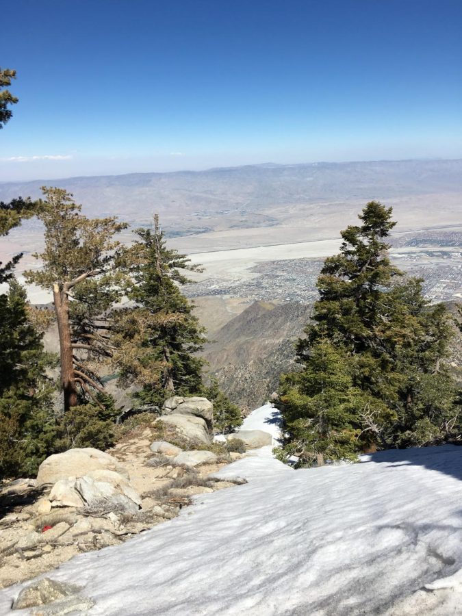 California is more than just cities! Two days of the trip were spent in the mountains just outside Los Angeles at a family friend's house. 