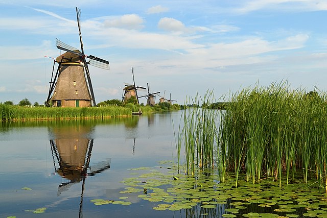 A significant characteristic in the Netherlands are windmills. Nature plays a huge role in Dutch culture. The landscapes seem phenomenal. In this picture, there is a huge windmill sitting on a marsh.