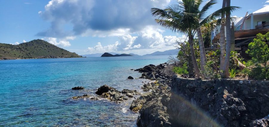 Ocean world, St. Martin on the rocky shore by the underwater observatory. 