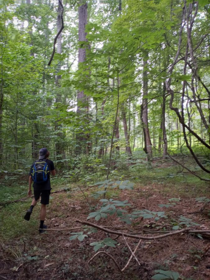 This was quite a walk, as it was all uphill that lead to a large grassy field.