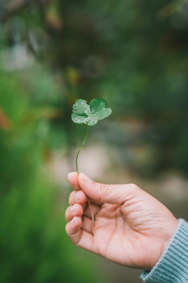 Saint Patrick's Day is celebrated every year on the day March 17th to celebrate the commemoration of Saint Patrick's death.