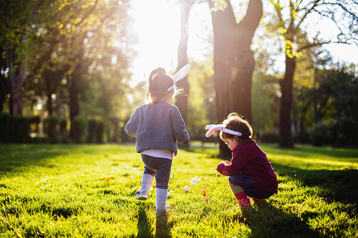 Cute little toddler sister enjoying the easter egg hunt in the park.