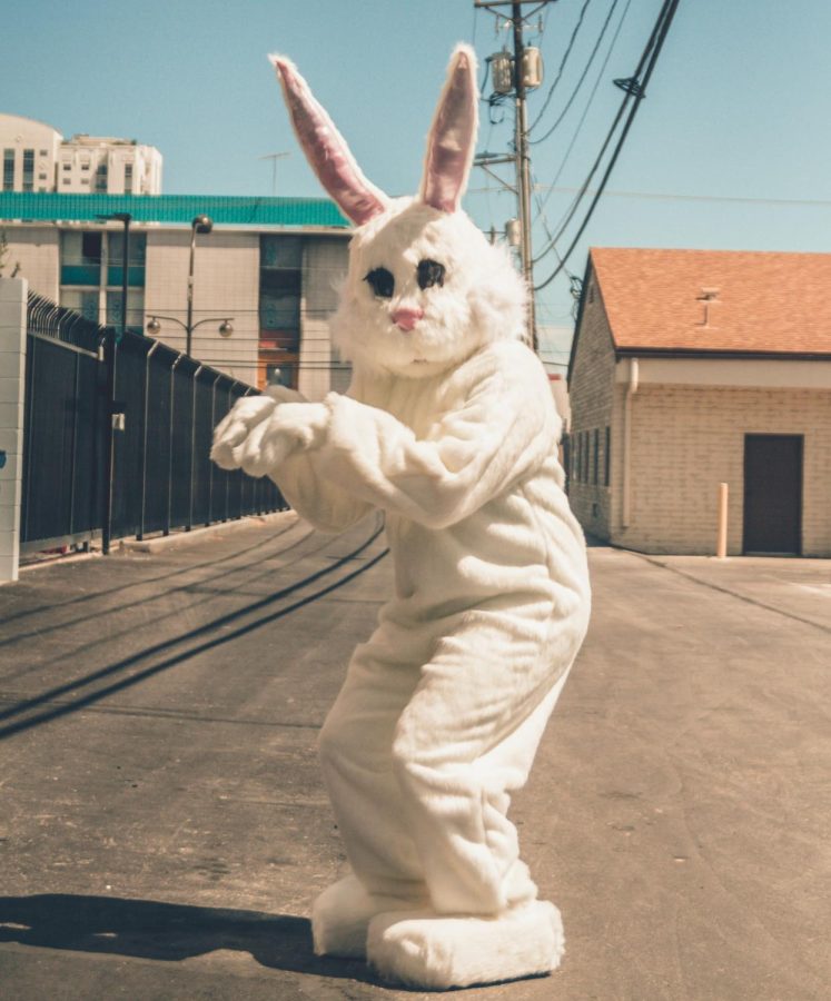 The Easter bunny comes and hides eggs in yards.