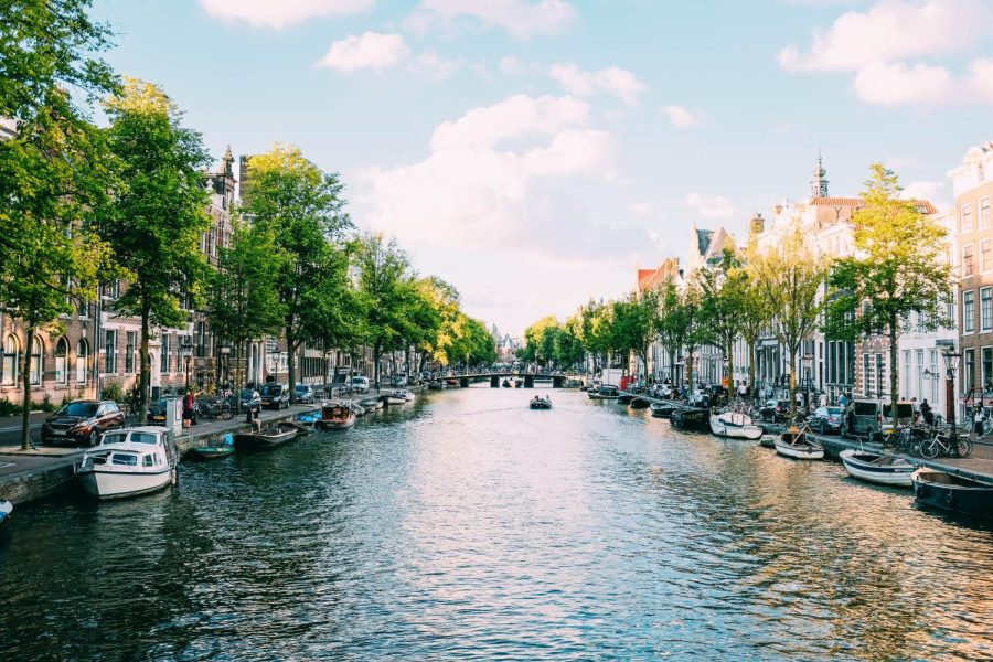 Amsterdam's Iconic canals act not only as a welcome alternative to roads, but act as a home to many creatures.