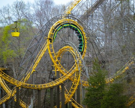 Rollercoaster Ranking – Busch Gardens Williamsburg (2022