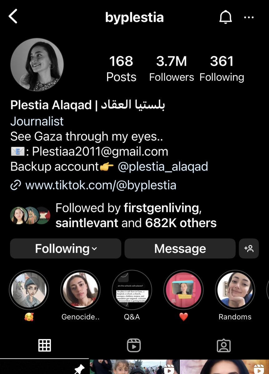 A screenshot of Plestia Alaqad's Instagram account.