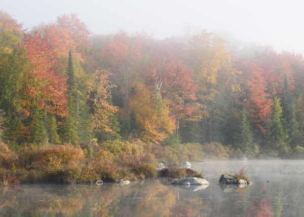 Marshfield Pond, Groton State Forest, Vermont.