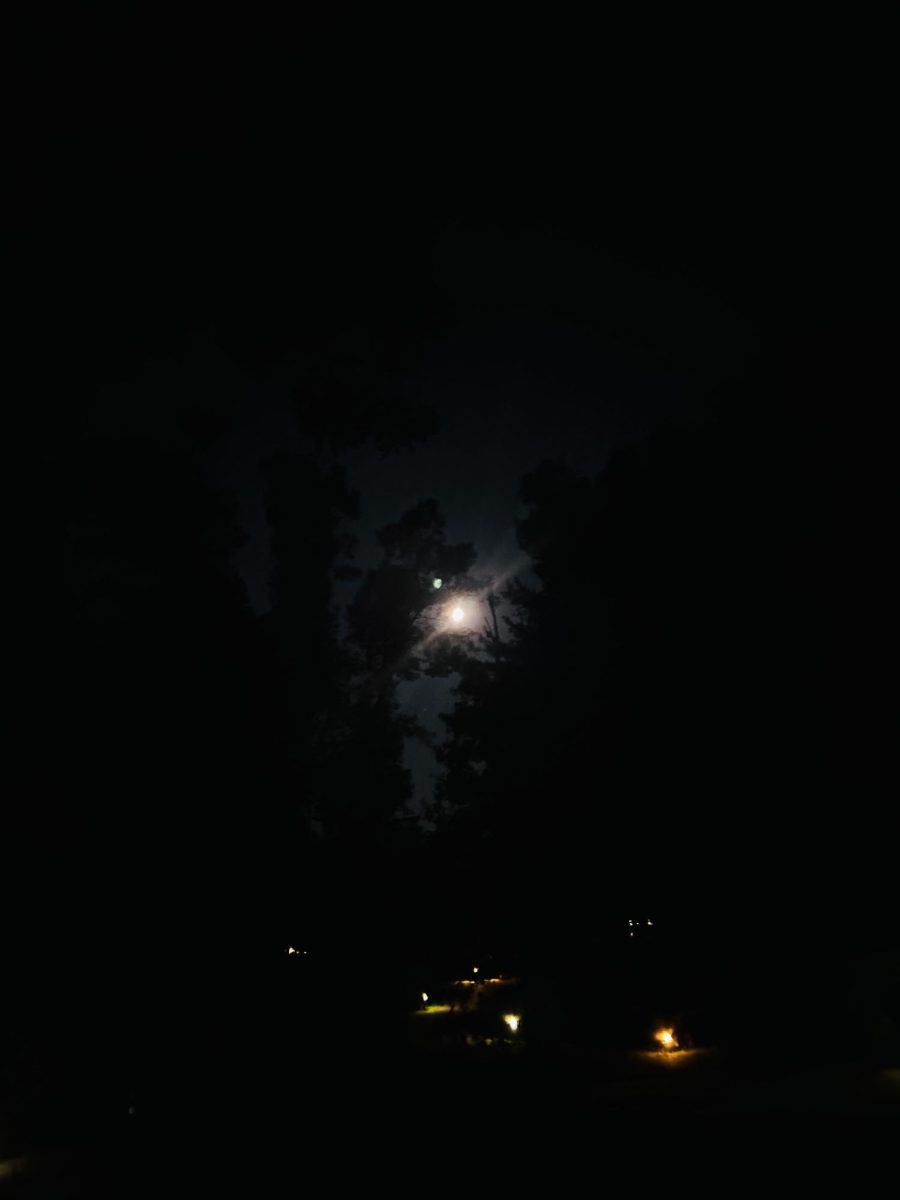 Shining over the moonlit trail was the way to the late night hangout